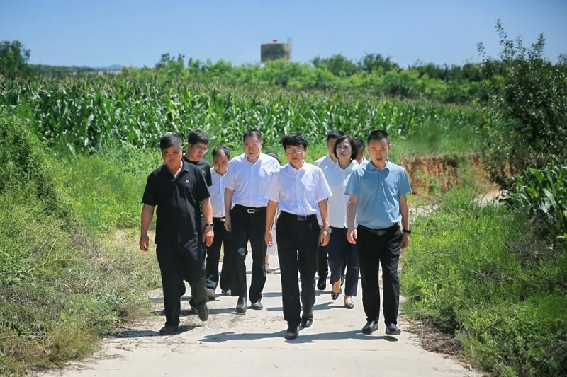 0801䰲2.jpg